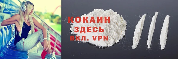 ешки Арсеньев