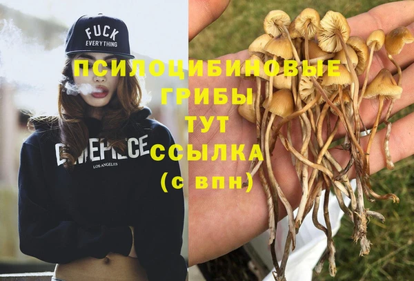 метадон Баксан
