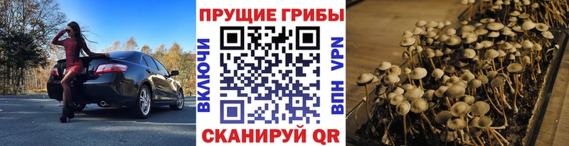 Галлюциногенные грибы Magic Shrooms  Струнино 